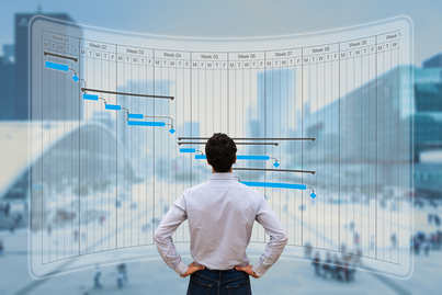 logiciel planning distribution